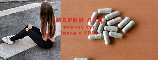 PSILOCYBIN Алзамай