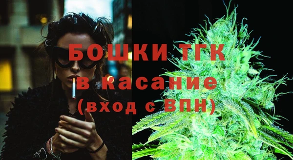 прущие грибы Алексеевка
