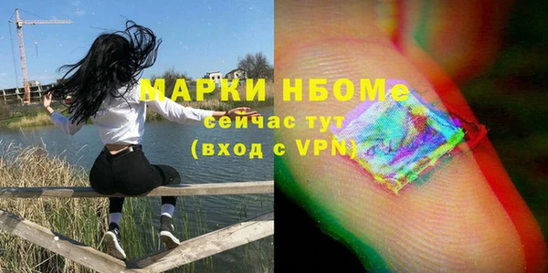 прущие грибы Алексеевка
