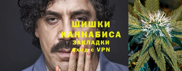 PSILOCYBIN Алзамай