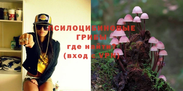 PSILOCYBIN Алзамай